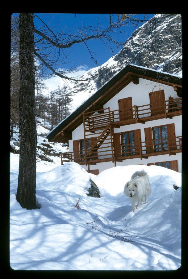 La Trinite Monboso Hotel Gressoney-la-Trinité Buitenkant foto