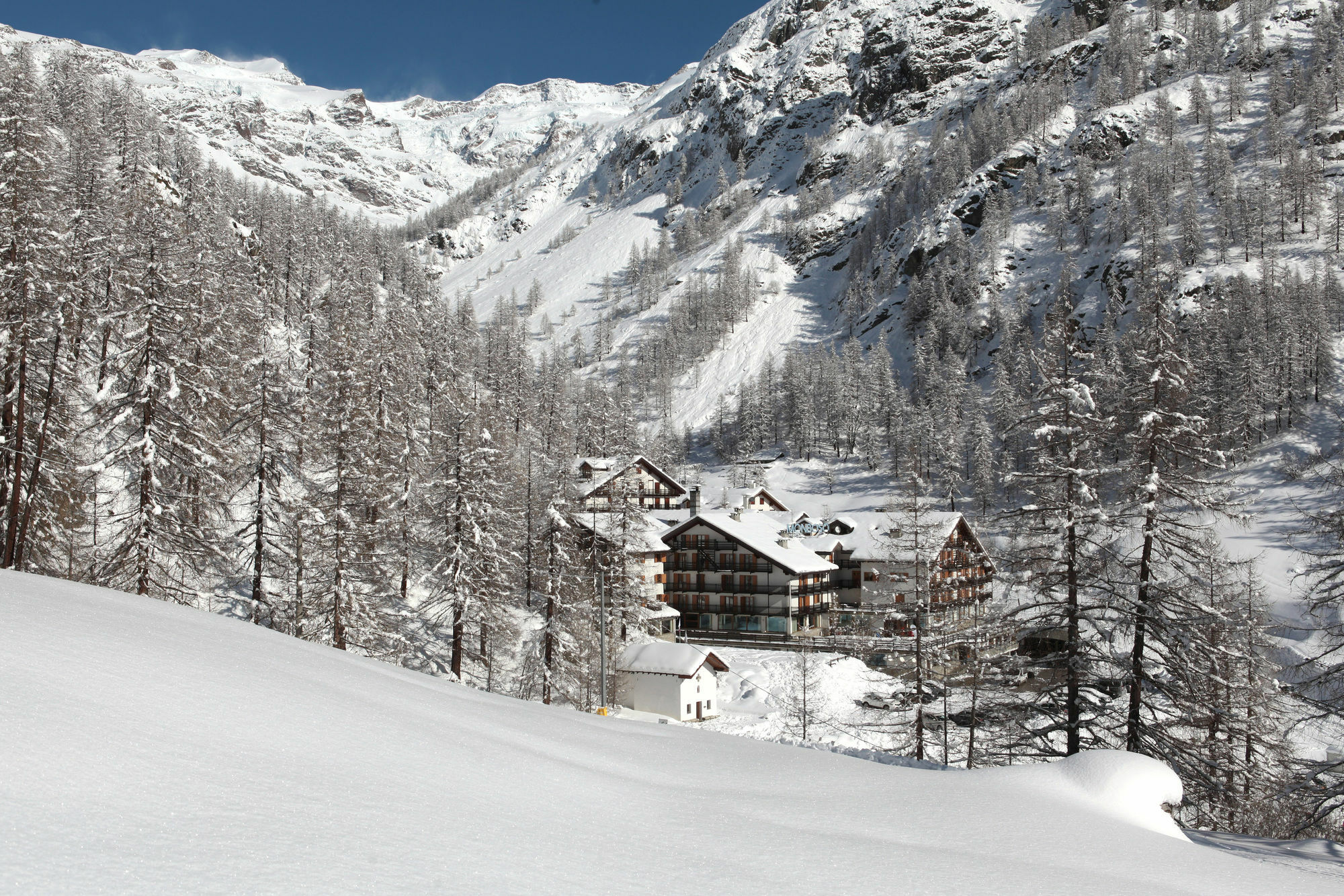 La Trinite Monboso Hotel Gressoney-la-Trinité Buitenkant foto